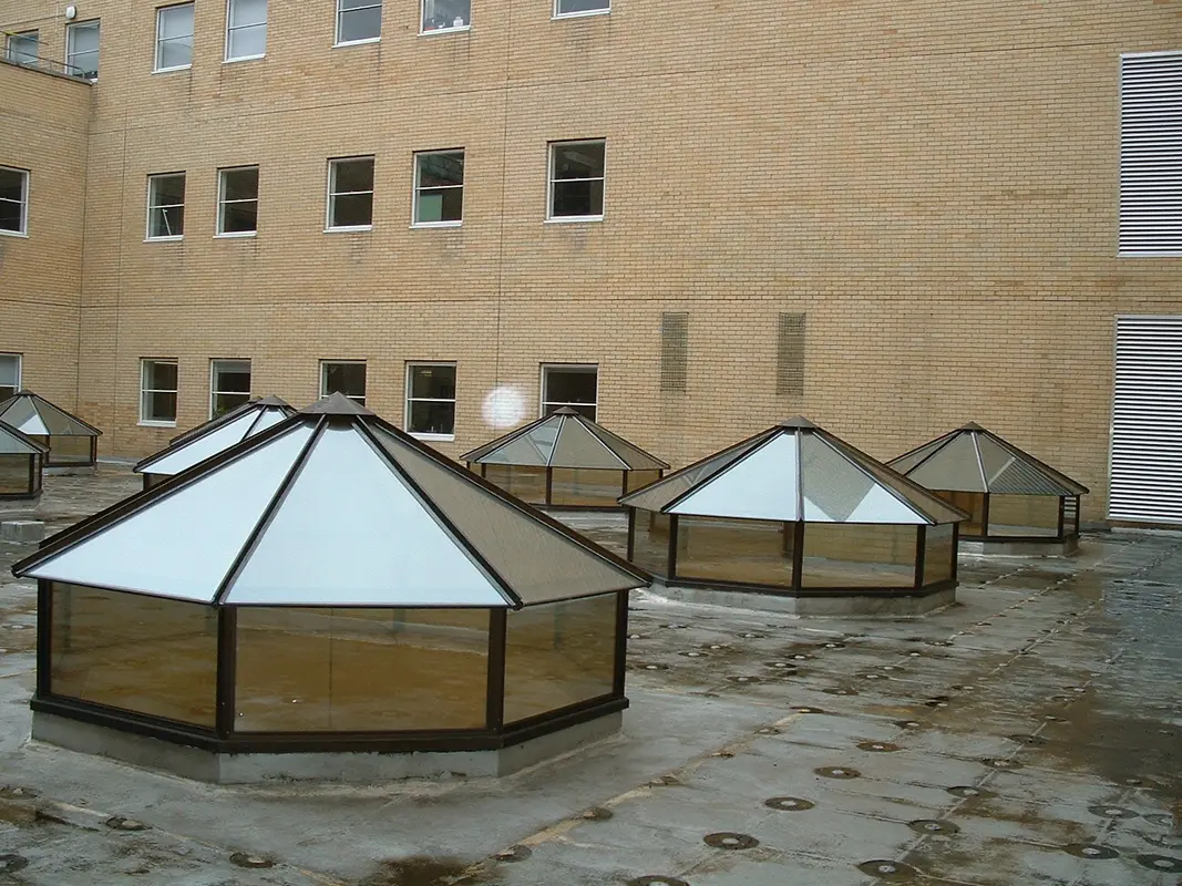 Flat Roof Skylights Bromley by Bow